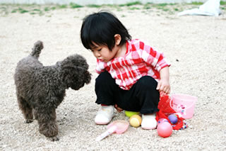 子供とワンちゃん