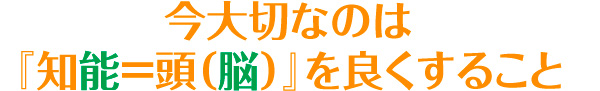 今大切なのは『知能＝頭（脳）』を良くすること