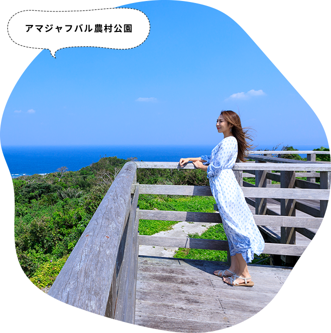 宿にチェックインしたら、ローカルパスポートを片手に、地域とつながるショートトリップを楽しんでください。 さあ、たびらいで本部半島のローカルの旅へ！