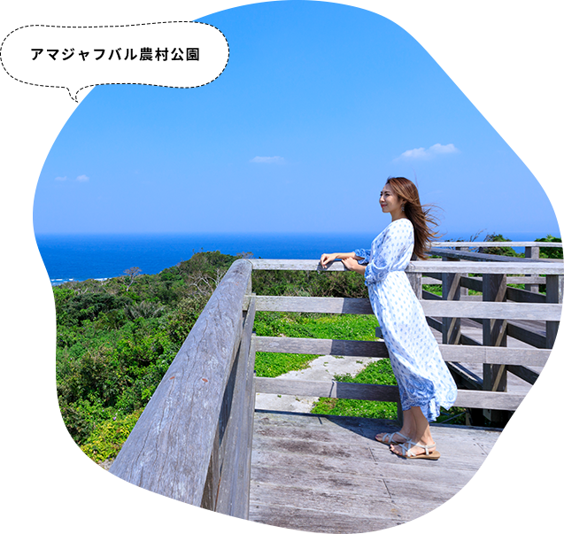 宿にチェックインしたら、ローカルパスポートを片手に、地域とつながるショートトリップを楽しんでください。 さあ、たびらいで本部半島のローカルの旅へ！