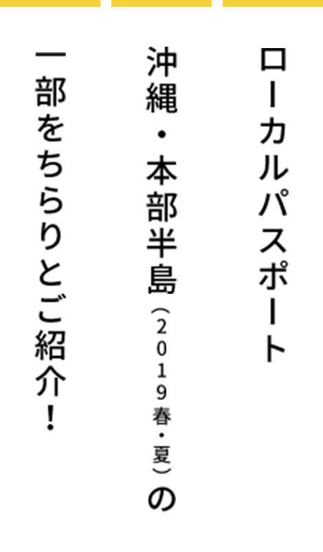 ローカルパスポート 沖縄・本部半島（2019年春・夏）の一部をちらりとご紹介！